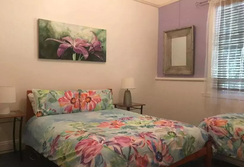 Retkeilymaja Flying Fox Backpackers