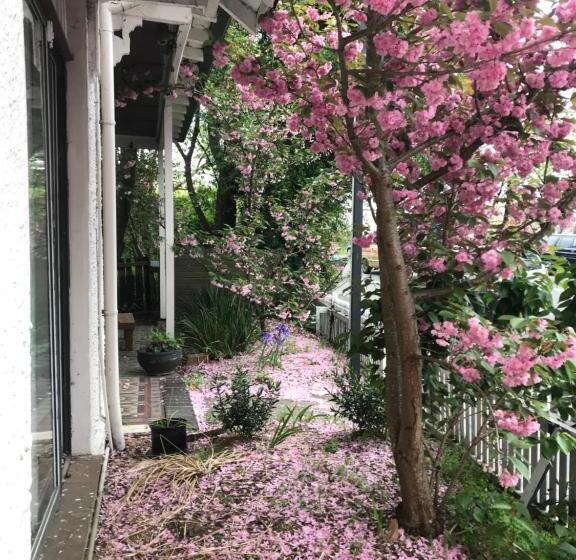 旅馆 Flying Fox Backpackers