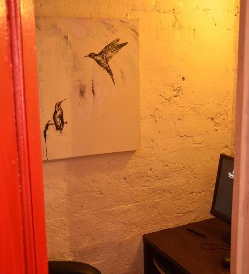 旅馆 Flying Fox Backpackers