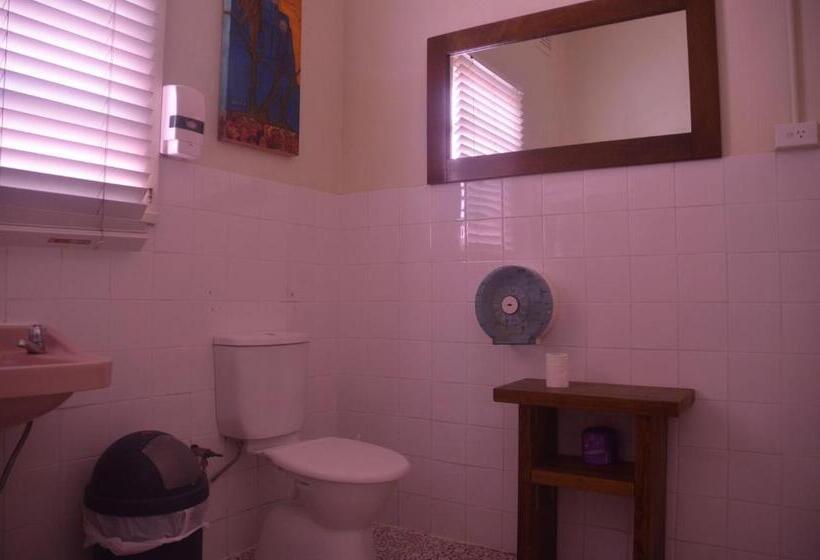 旅馆 Flying Fox Backpackers