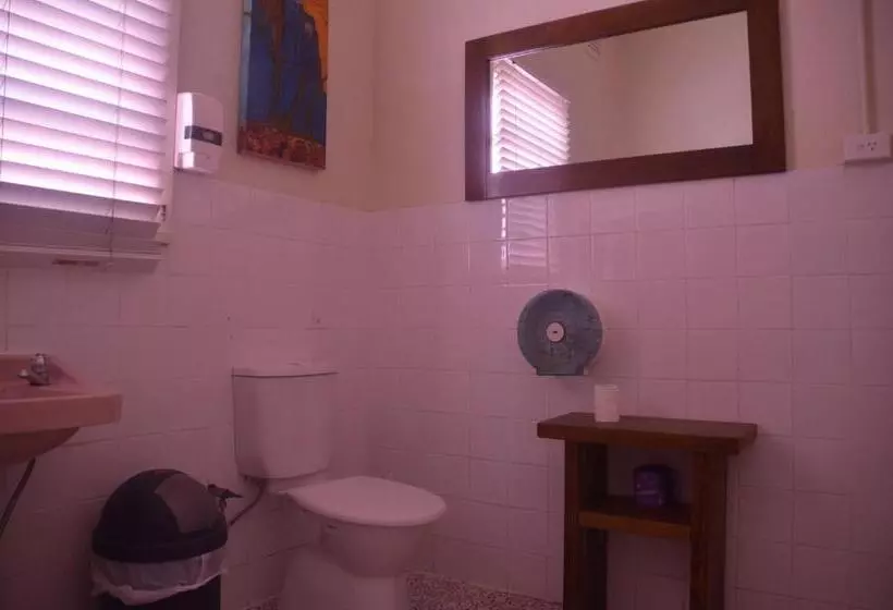 Retkeilymaja Flying Fox Backpackers