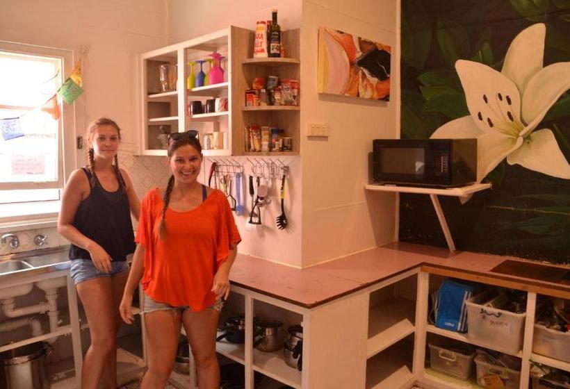 旅馆 Flying Fox Backpackers