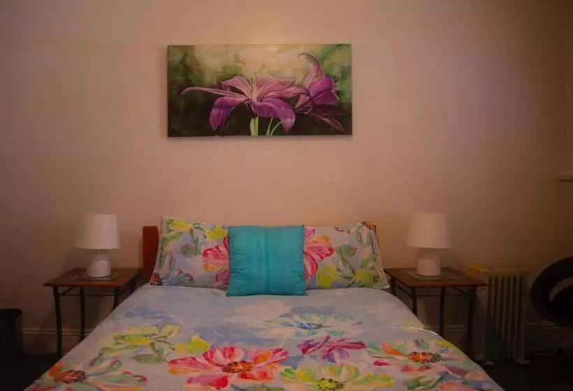 Retkeilymaja Flying Fox Backpackers