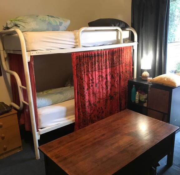 旅馆 Flying Fox Backpackers