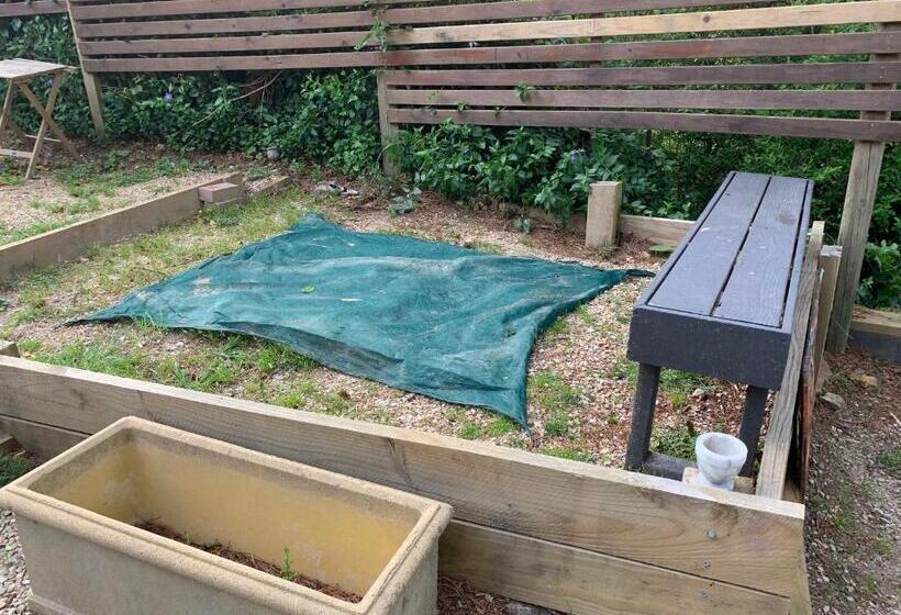 旅馆 Flying Fox Backpackers