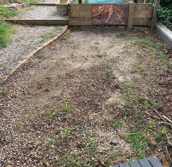 旅馆 Flying Fox Backpackers