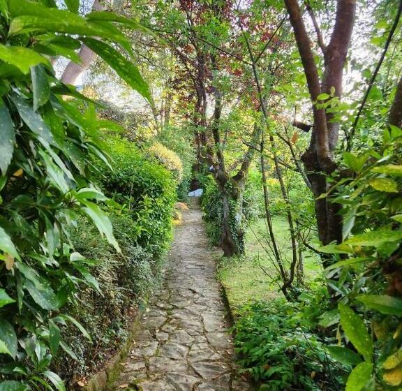 تختخواب و صبحانه Le Jardin Sarlat