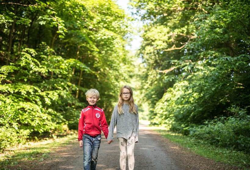 צימר Villa Söderåsen