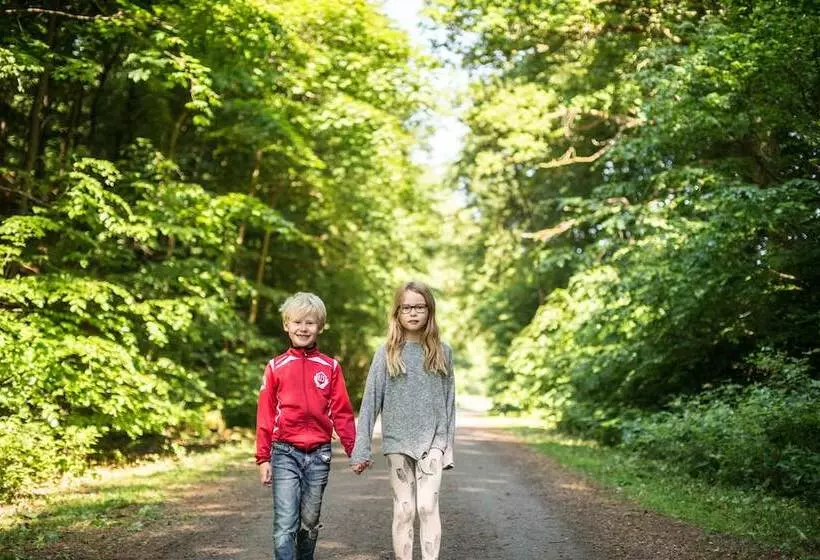 ベッドアンドブレックファースト Villa Söderåsen