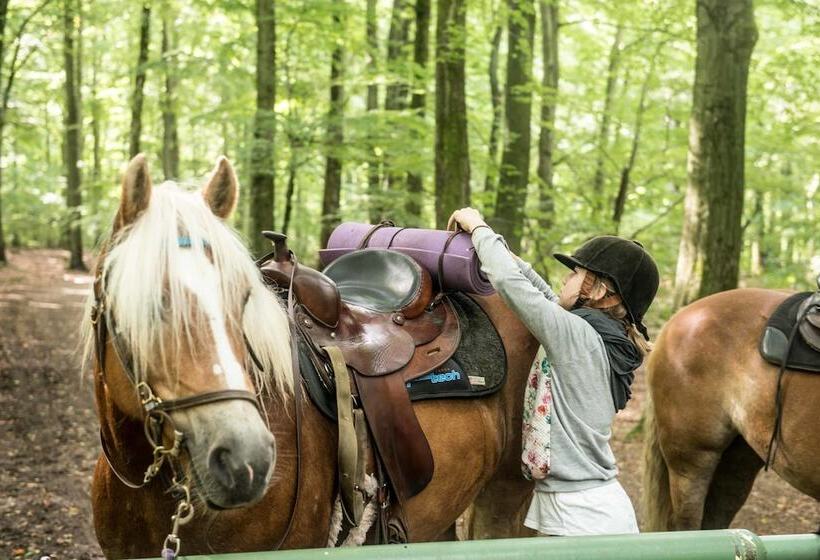 צימר Villa Söderåsen