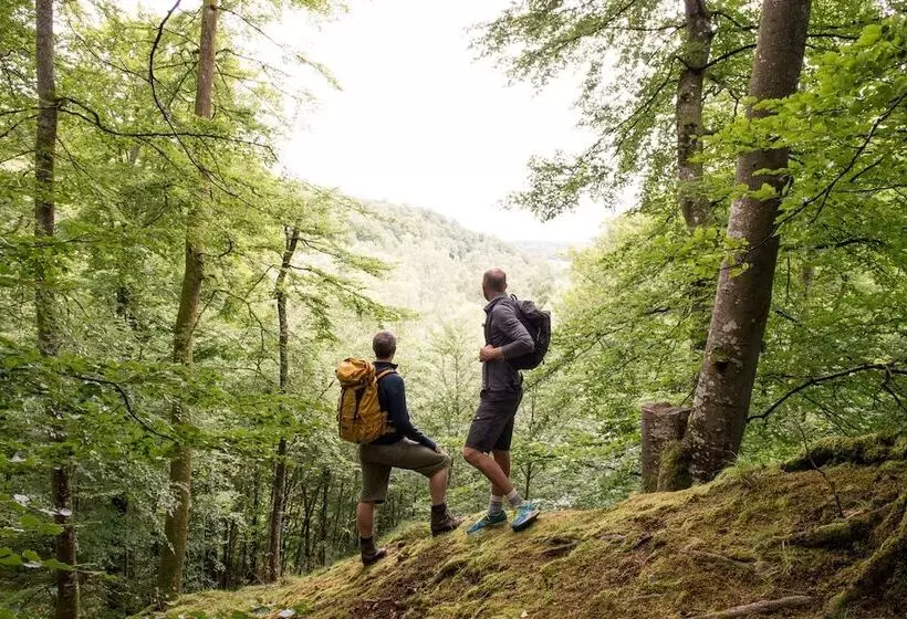 ベッドアンドブレックファースト Villa Söderåsen