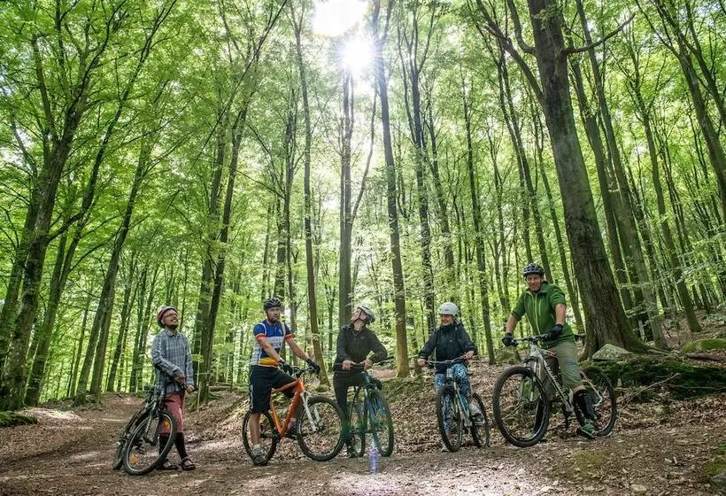 ベッドアンドブレックファースト Villa Söderåsen