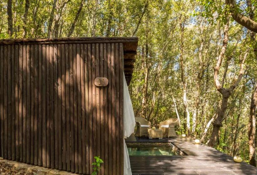 فندق ريفى Experience Relais Il Termine Elba