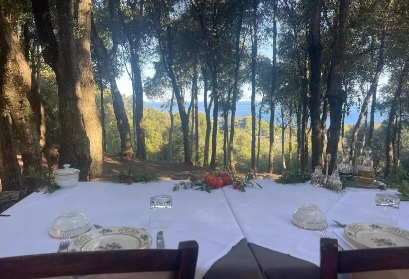 Maaseutuhotelli Experience Relais  Il Termine Elba