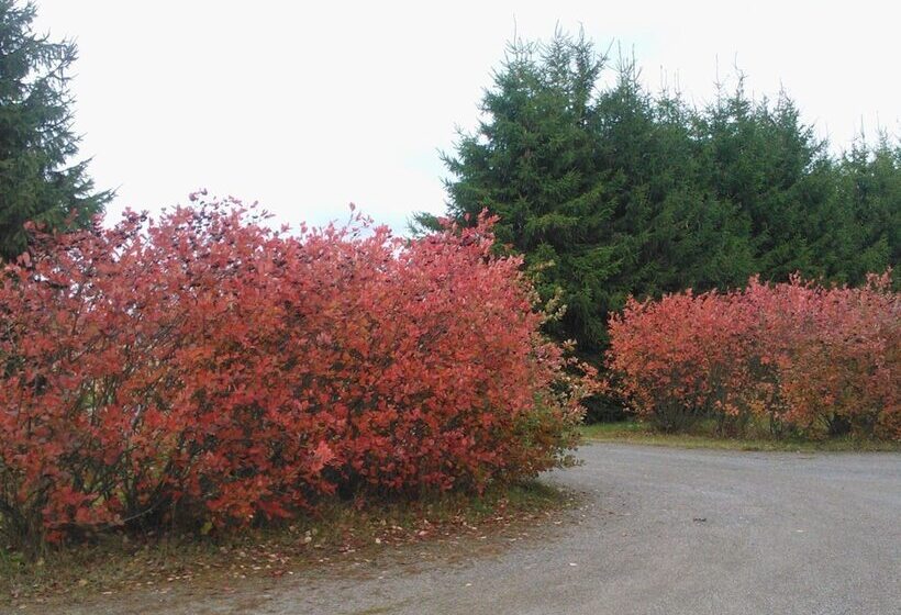 Majatalo Myötätuuli