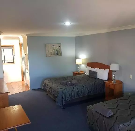 モーテル Asters On James Motor Inn