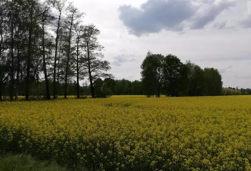 ペンション Am Waldrand Spreewald