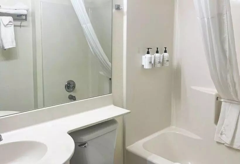 Boarders Inn & Suites By Cobblestone Hotels   Brush