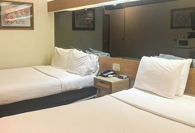 Boarders Inn & Suites By Cobblestone Hotels   Brush