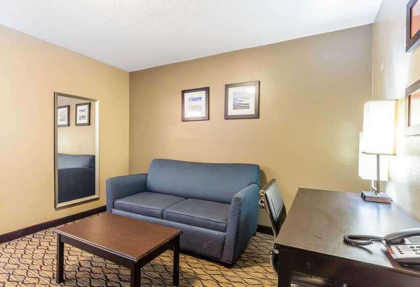 ホテル Comfort Inn & Suites Crystal Inn Sportsplex
