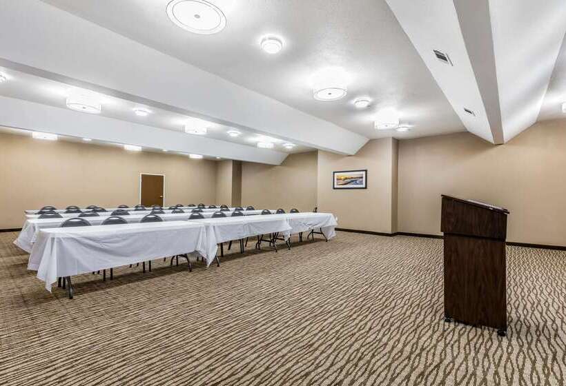 ホテル Comfort Inn & Suites Crystal Inn Sportsplex