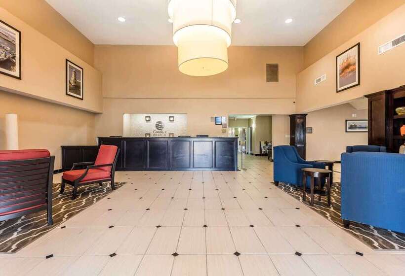 ホテル Comfort Inn & Suites Crystal Inn Sportsplex