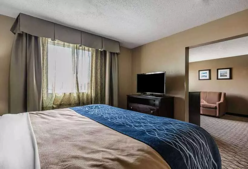 هتل Comfort Inn & Suites Crystal Inn Sportsplex
