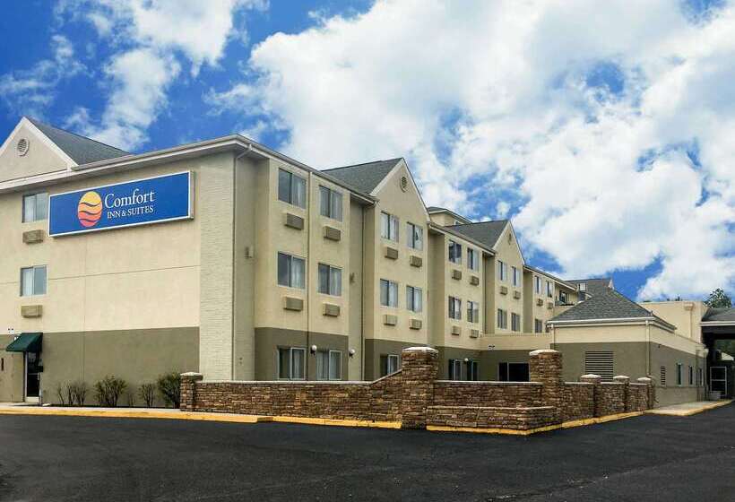 ホテル Comfort Inn & Suites Crystal Inn Sportsplex