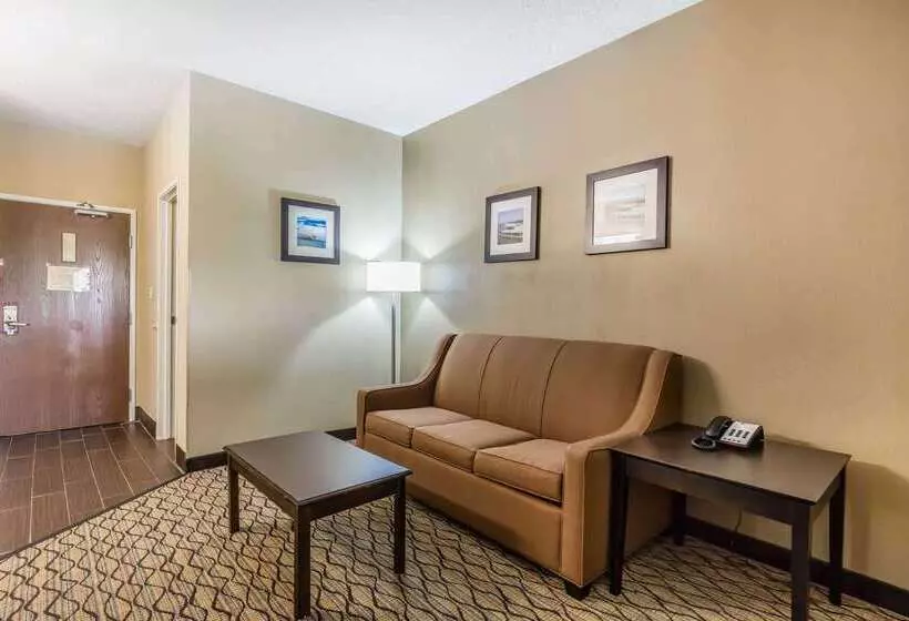 هتل Comfort Inn & Suites Crystal Inn Sportsplex