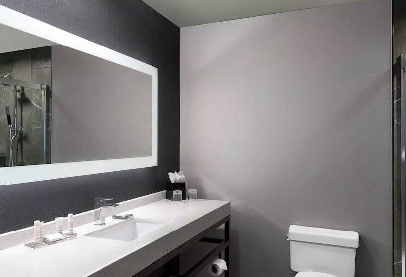 בית מלון כפרי Courtyard By Marriott Chicago At Medical District Uic