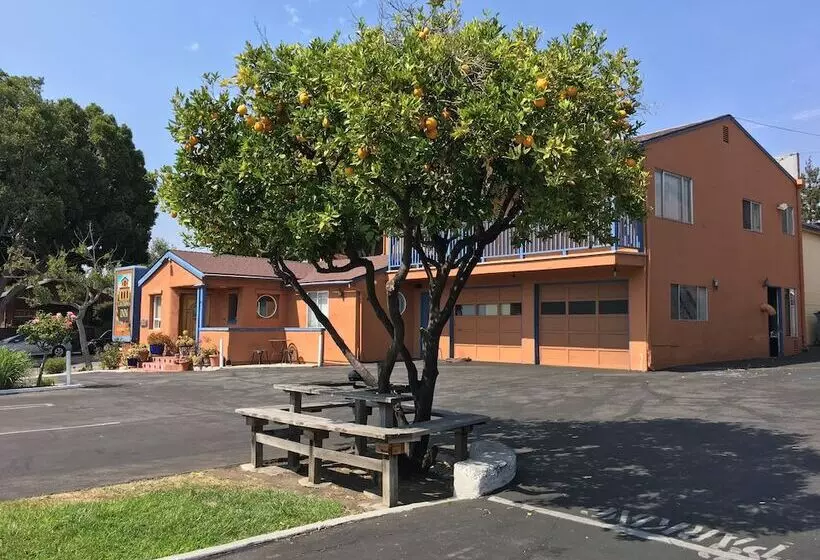 בית מלון כפרי Los Padres Inn