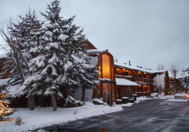 فندق Marina Riviera