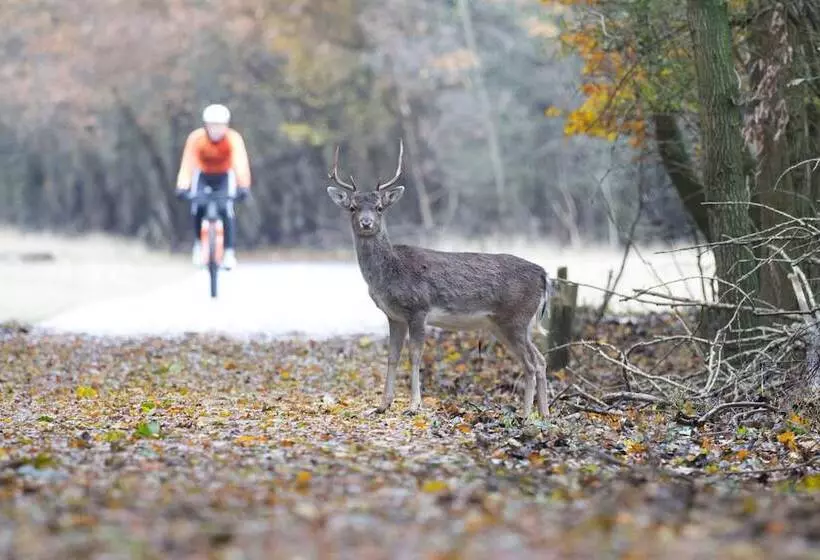 בית מלון כפרי Montvale