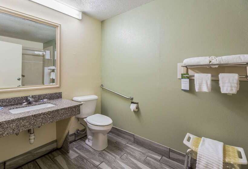 בית מלון כפרי Rodeway Inn