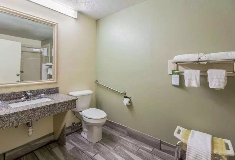 Отель Rodeway Inn