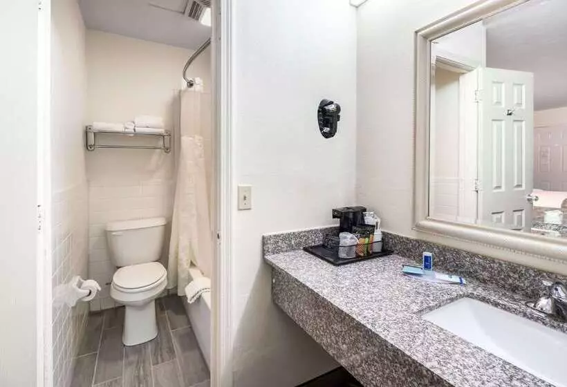 Отель Rodeway Inn