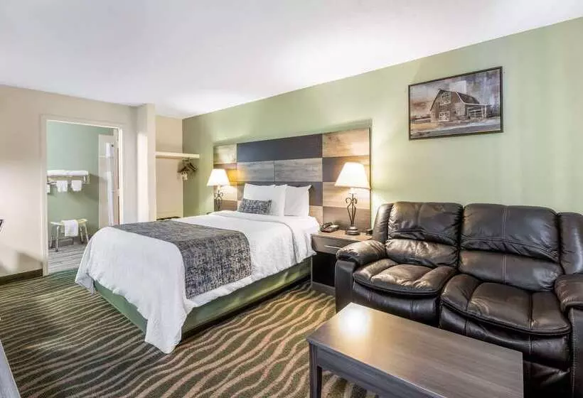 Отель Rodeway Inn