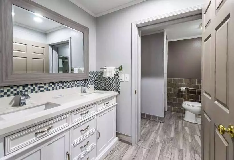 Отель Rodeway Inn