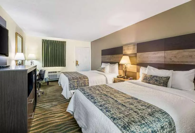 Отель Rodeway Inn