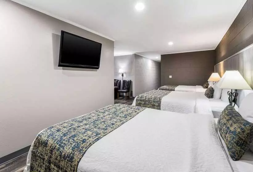 Отель Rodeway Inn