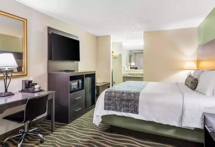 Отель Rodeway Inn