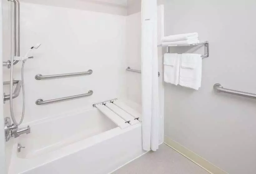 Microtel Inn And Suites Manistee