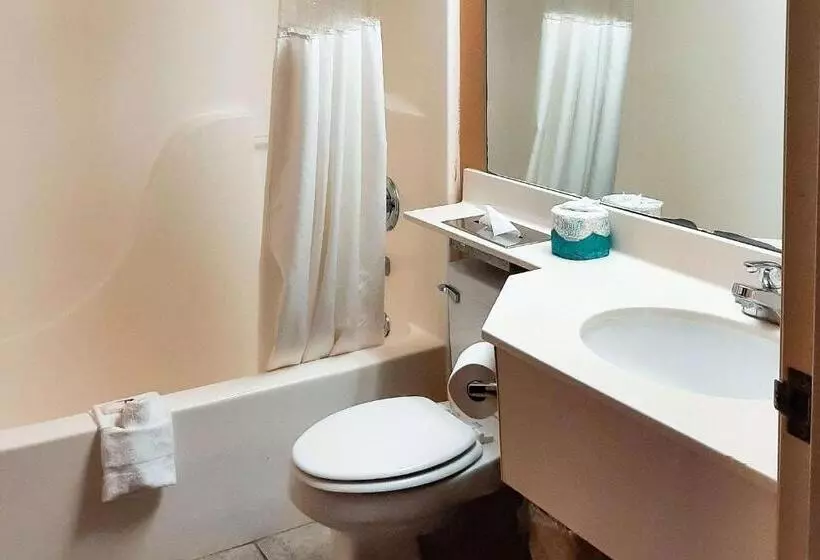 Отель Starkville Inn & Suites