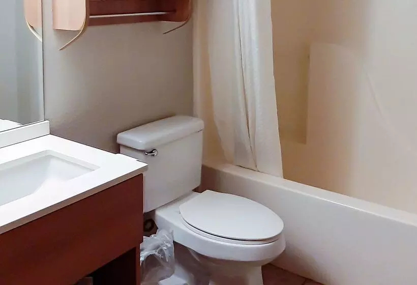 Отель Starkville Inn & Suites