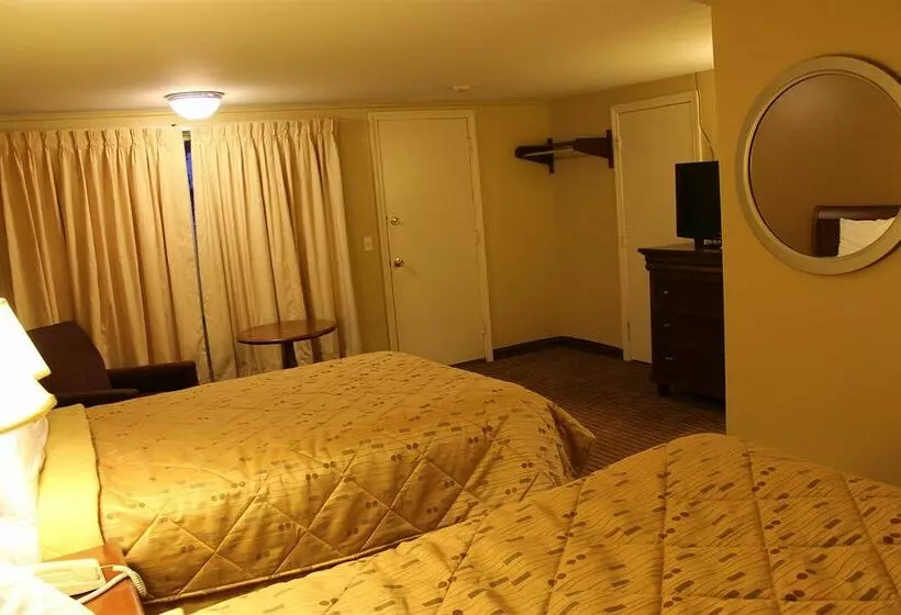 モーテル Cape Shore Inn