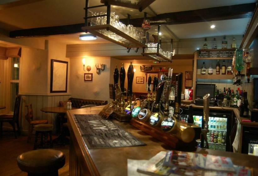 ユースホステル The Boot Inn