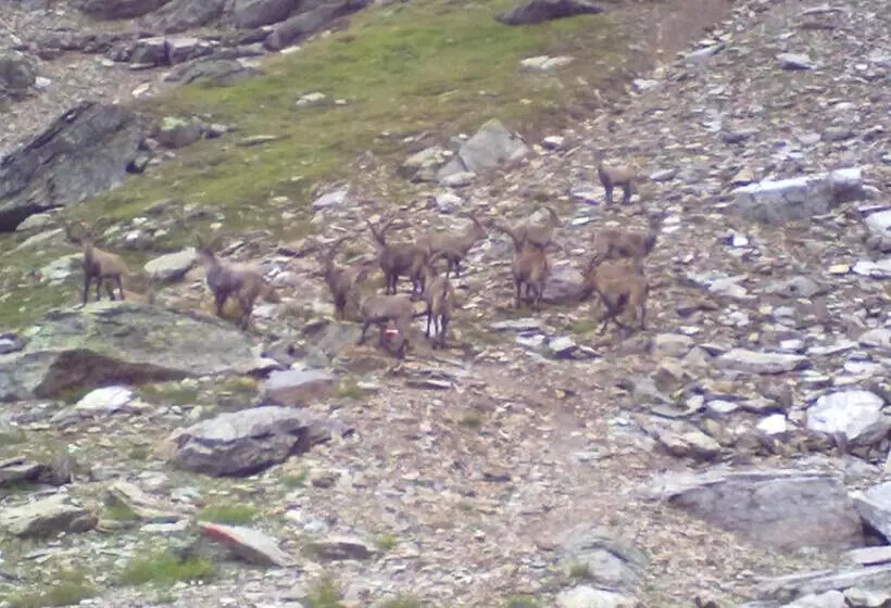 ペンション Haus Leo