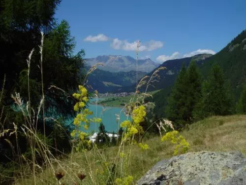 Aamiaismajoitus (B&B) Pension Villa Claudia Augusta
