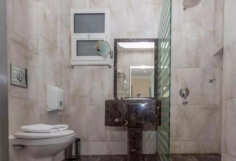 هتل Hayat Al Riyadh