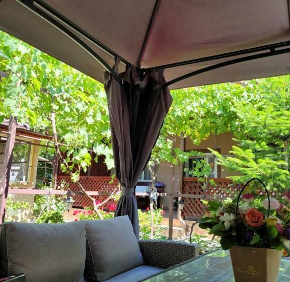 Пансион Casa Badea